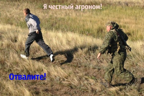 Кракен официальная ссылка kraken torion