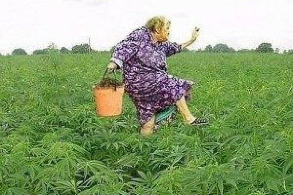 Кракен лого маркетплейс