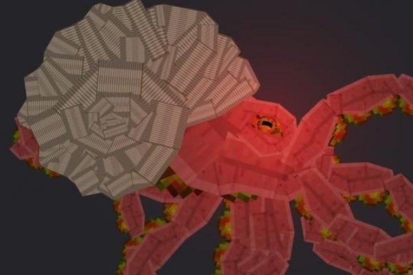 Kraken ссылка актуальная