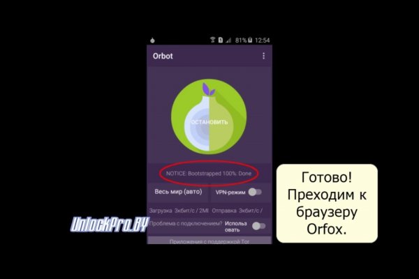 Kraken как найти ссылку