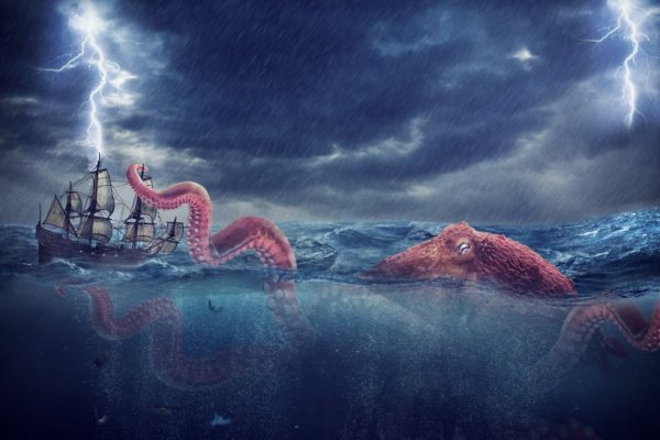 Kraken url