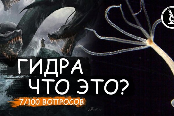 Что продает кракен