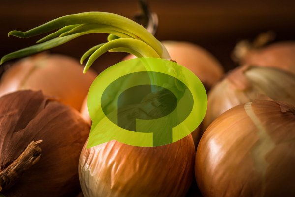Kraken onion вход
