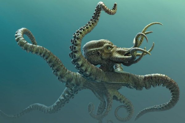 Kraken ссылка tor